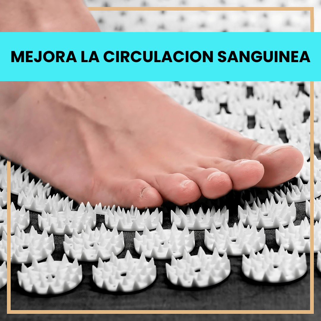 Almohadilla De Agujas Para Aliviar Estrés Kit De Acupresión - Malvo