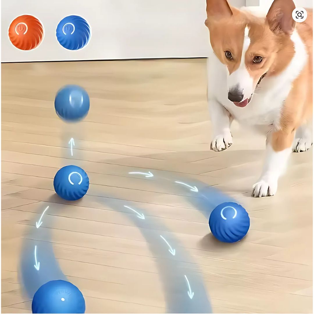 Juguete Bouncing Ball Para Mascotas - Malvo