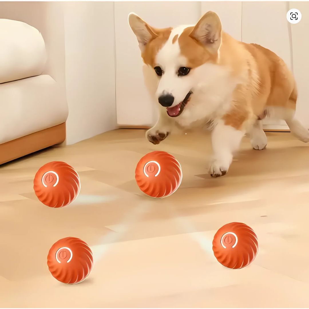 Juguete Bouncing Ball Para Mascotas - Malvo