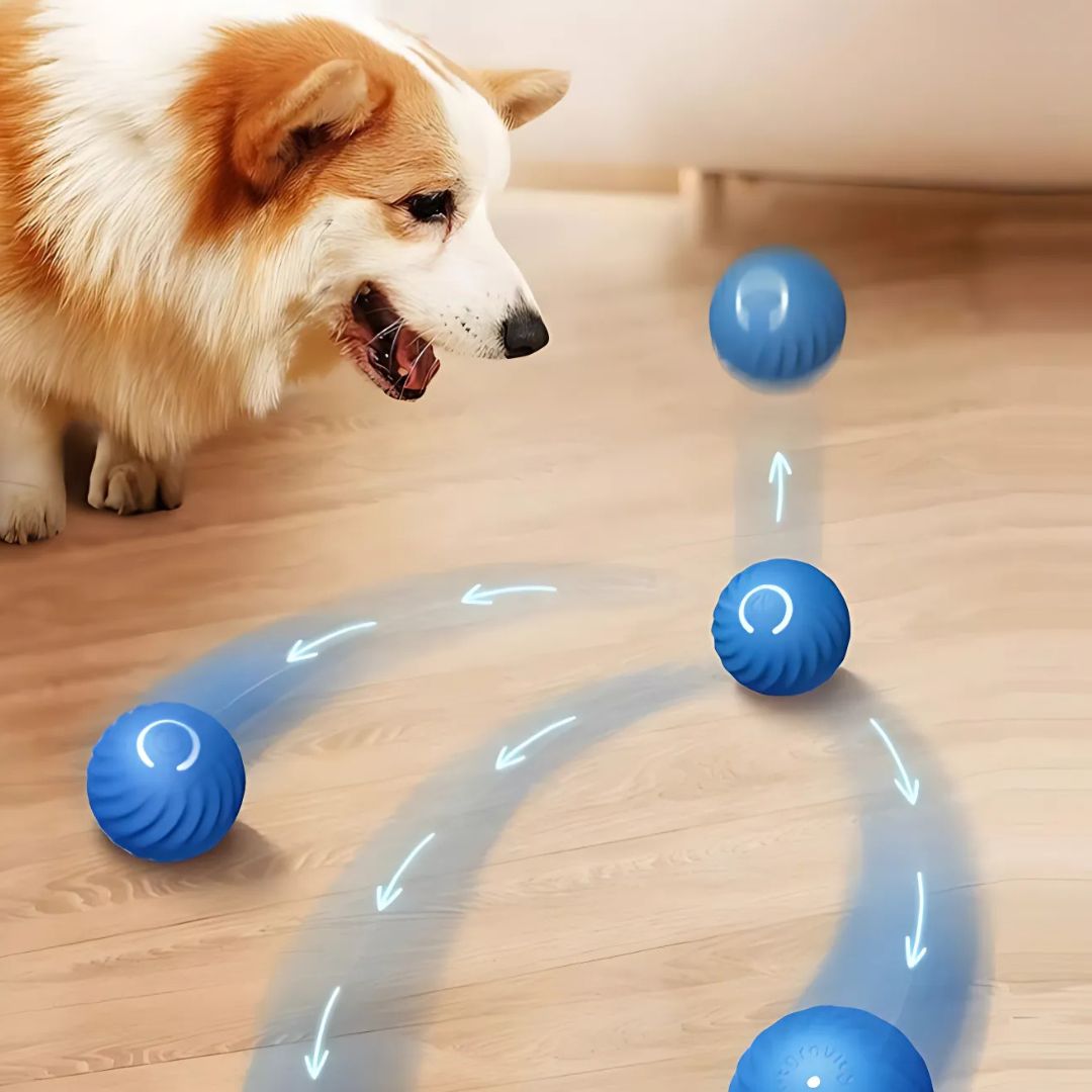 Juguete Bouncing Ball Para Mascotas - Malvo