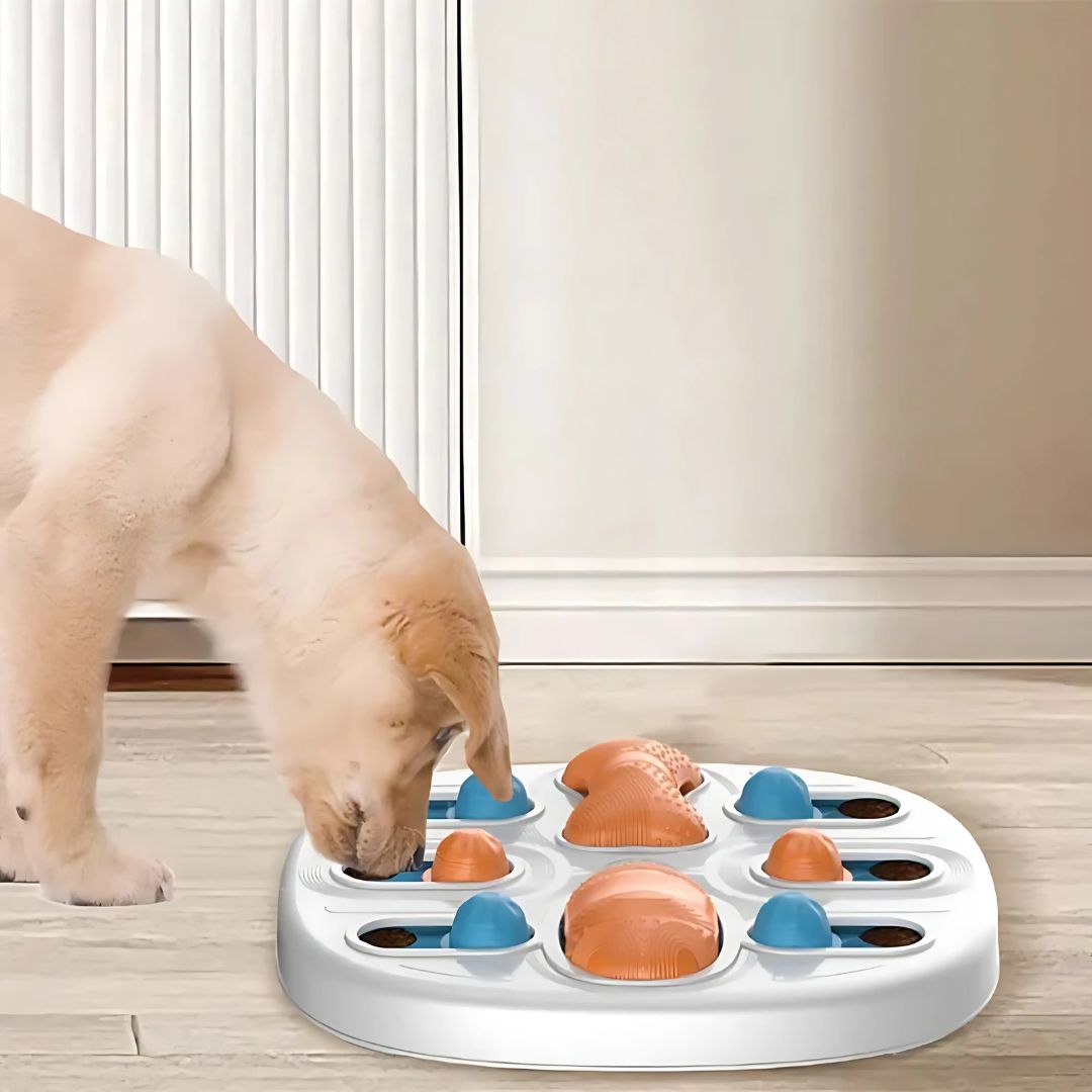 Juguete dispensador de comida para mascotas - Diversión que alimenta! - Malvo