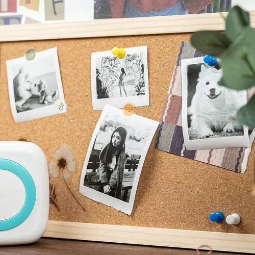 Mini Impresora Térmica Premium Con App Bluetooth Celular - Malvo