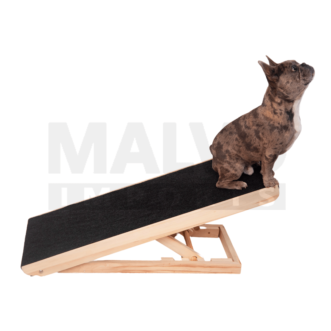 Rampa Para Perros Y Gatos Antideslizante Altura Ajustable Xl - Malvo