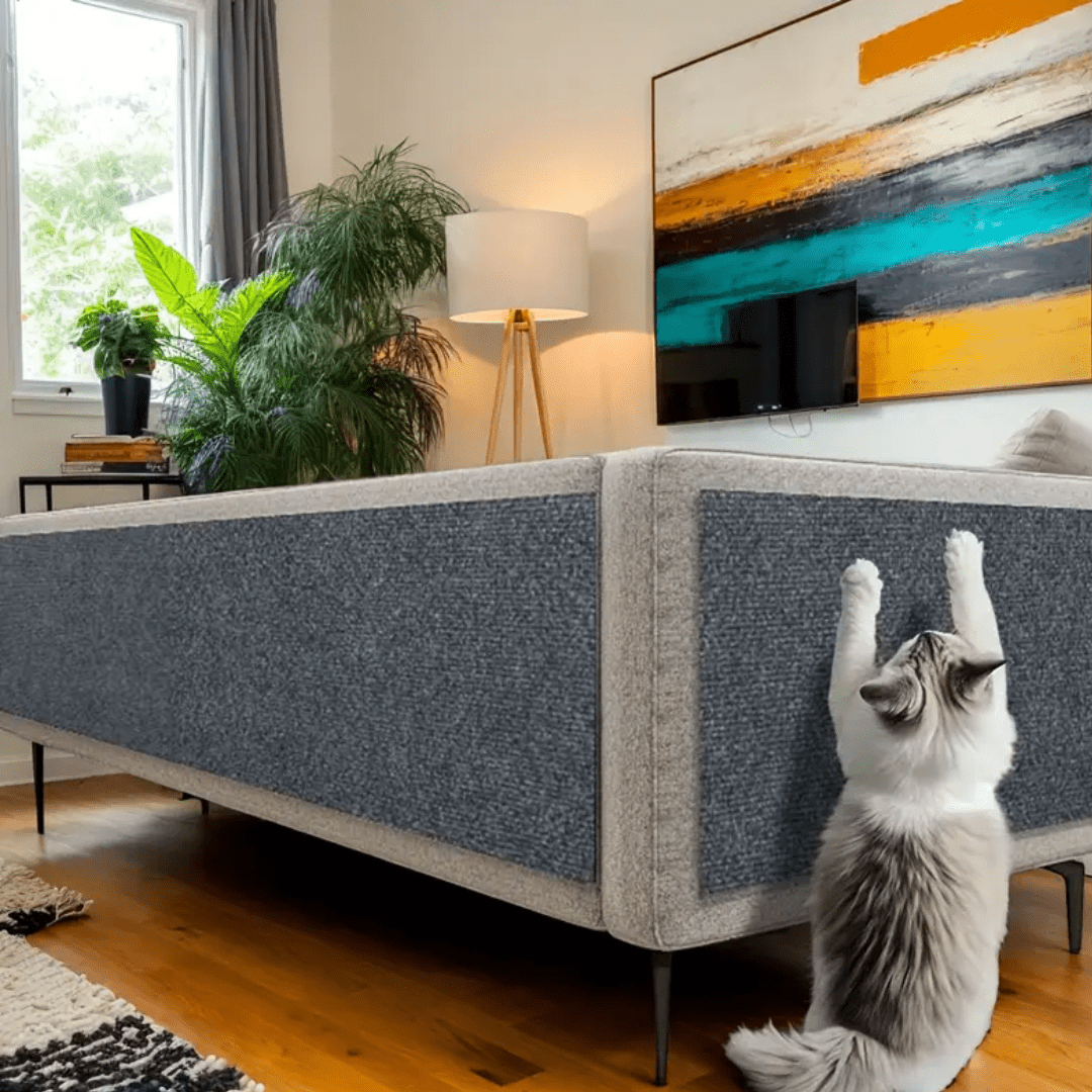 Rascador De Gato Autoadhesivo - ¡Protege Tu Sillón y Muebles! - Malvo