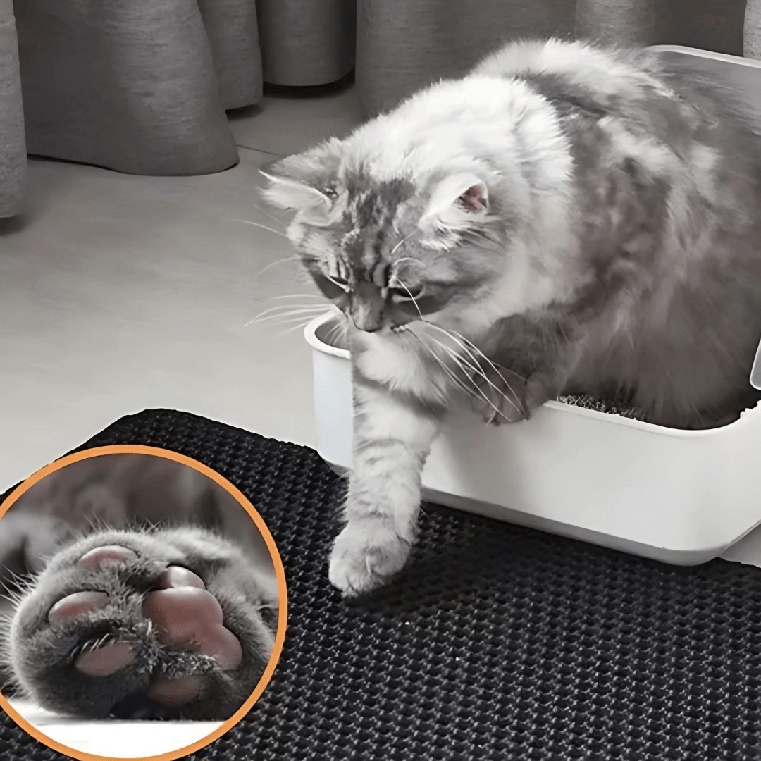 Alfombra Esterilla Higiénica - Mantén el espacio de tu gato siempre limpio - Malvo