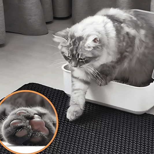 Alfombra Esterilla Higiénica - Mantén el espacio de tu gato siempre limpio - Malvo