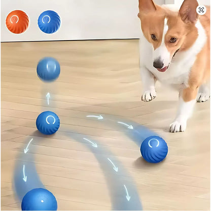 Juguete Bouncing Ball Para Mascotas - Malvo