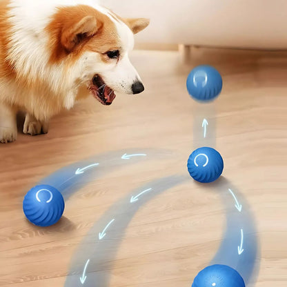 Juguete Bouncing Ball Para Mascotas - Malvo
