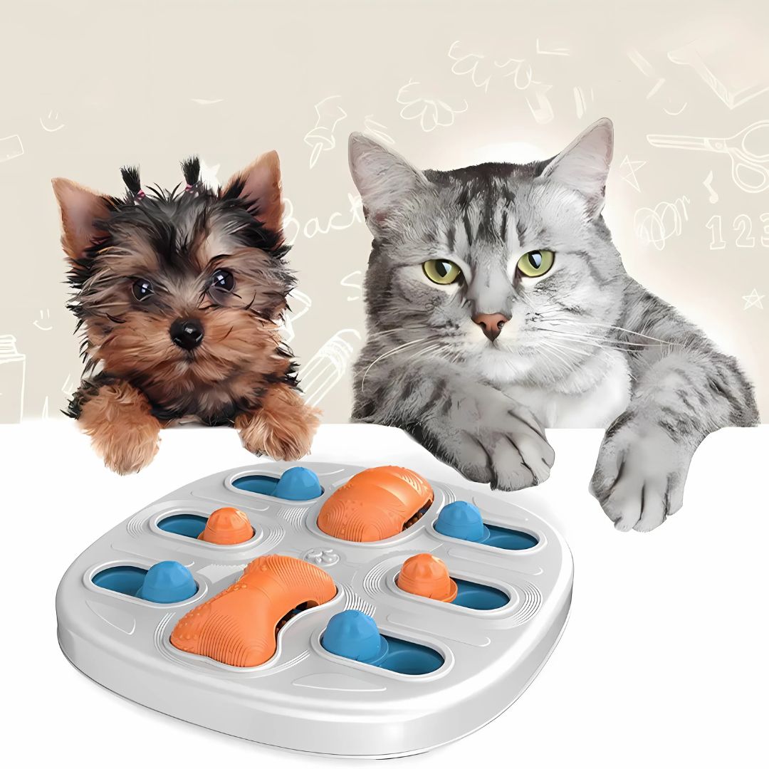 Juguete dispensador de comida para mascotas - Diversión que alimenta! - Malvo
